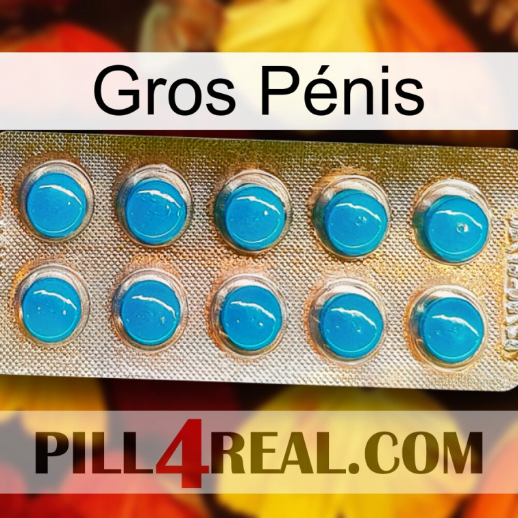 Gros Pénis new09